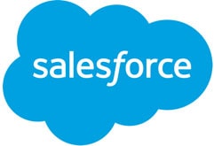 IronBrick Partner - Salesforce