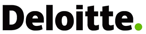 Deloitte IronBrick Partner