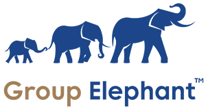 Group Elephant IronBrick Partner